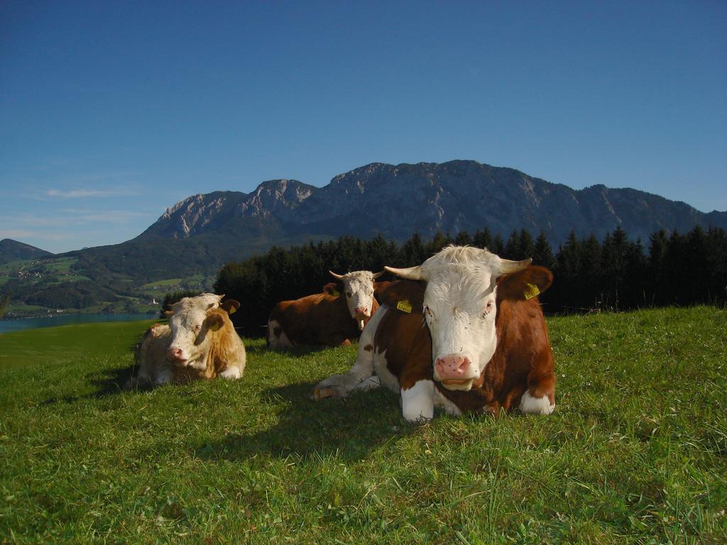 Ferienhof Margarethengut Unterach am Attersee Eksteriør bilde